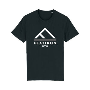 Flat Iron Gym T-Shirt V2 (Black)