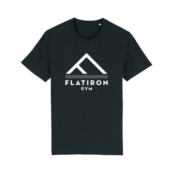 Flat Iron Gym T-Shirt V2 (Black)