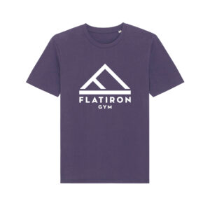 Flat Iron Gym T-Shirt V2 (Purple)